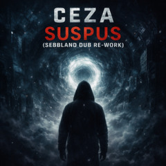Ceza- Suspus (Sebbland's dub interpretation)
