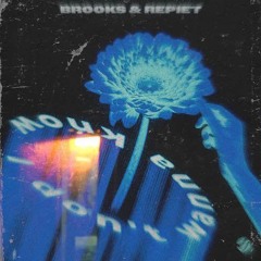Brooks & Repiet - I Don't Wanna Know (Hybrid Noise Remix) (Repiet Support)