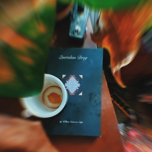 quotidian drag (Audio Book)