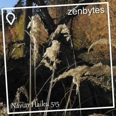 with a smile - Naviarhaiku 515