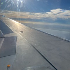 A Plane Plunges Downward/samazama