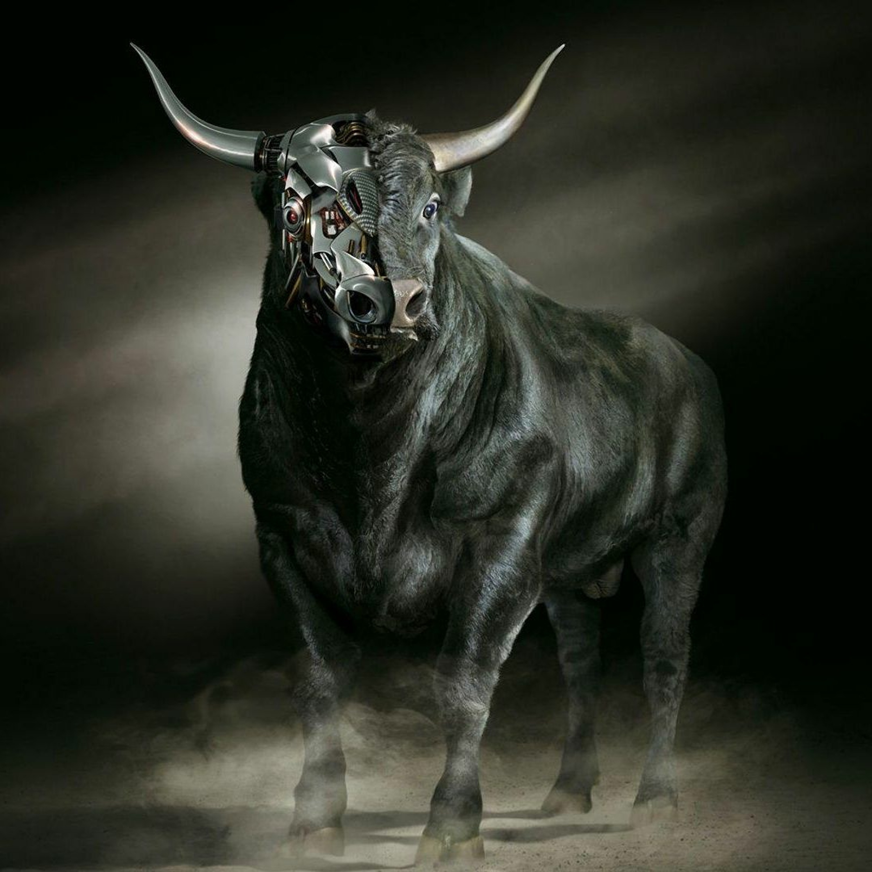 Karl Krüger aka TauRus