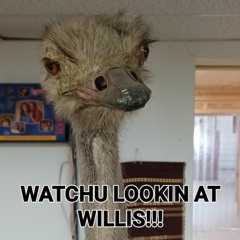 Mashville USA Funk Rock 21jul18