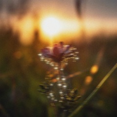 Out of Joint with Time