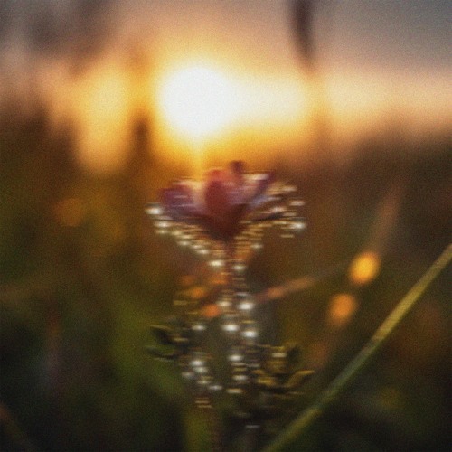 Out of Joint with Time