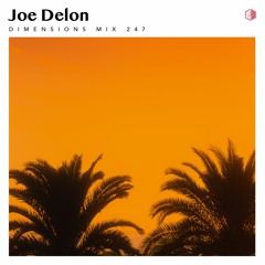 DIM247 - Joe Delon