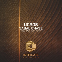 Ucros - Sabal Chase (Zack Roth Remix Edit)
