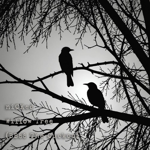 BB88 Willow Tree (The Cuckoo)