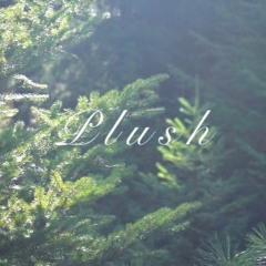 Plush