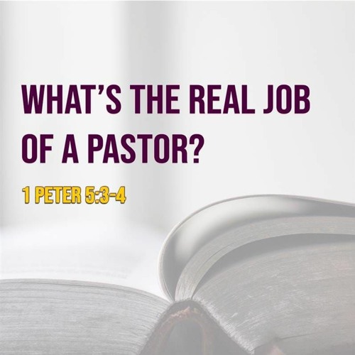What's The Real Job Of A Pastor - 1 Peter 5 : 3 -4