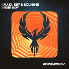 Maex, Dry & Bolinger - Right Now (Radio Edit)