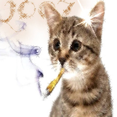 2007 /w jdmfessh