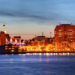 Davenport SY-1000 1/4 guitar input with looper