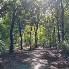 Paths to Stillness