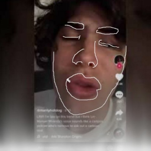 Tiktok Guy - If I Can Prove That I Never Touched My B*lls