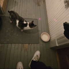 Cold Hearted Gangsta