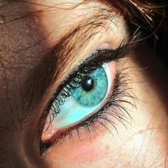 Well, Look Where That Ended