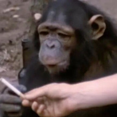 DJ Badboy Out Tonight 🙌🏻