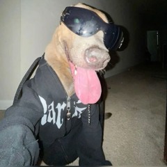 rotoRl - 대한건하, ECOnomy CLAS$, PLAYBOI [Mixed by. OnU, TEMPEST]