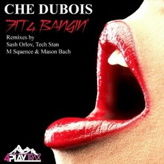 Che Dubois - Fit 4 Bangin (Tech Stan Remix) -  2013