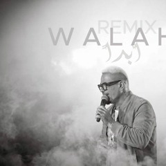 Walahy Abdan - Amr diab / BahgatMusic_ Remix