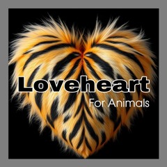 Your Lies (Loveheart For Animals) (Remix)