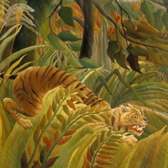 Jungle