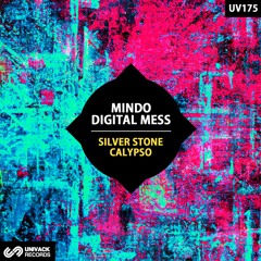 Mindo & Digital Mess - Silver Stone (Original Mix) [Univack]