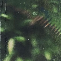 Tropical jazz