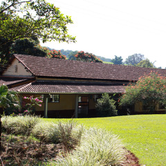 22.11.2025 - Cap. XXIV - Não Coloqueis a Candeia Sob o Alqueire - Coragem da Fé (6)