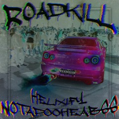 ROADKILL [ w/ NotapooheaBSS ]