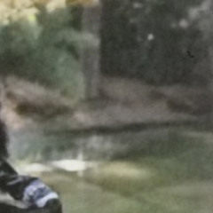 serpenskirt *beth dies (diego777)