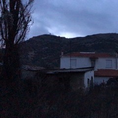 Πολυτροπία