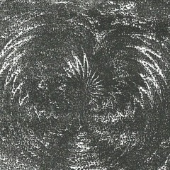 Vinyle Mentale