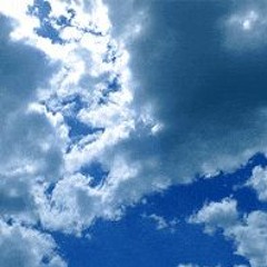 HahliLVNDR - ARP399-IO [lilavvhen brace yourself mix]