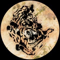 groove mind