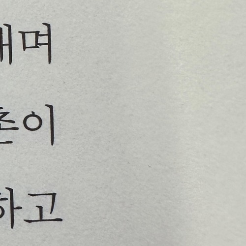 황혼의 새가 논에 누워요