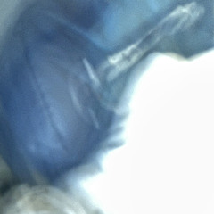 You couldve w/ siahhhh