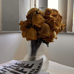 Sho la Leymo-Geyduen & Kinga