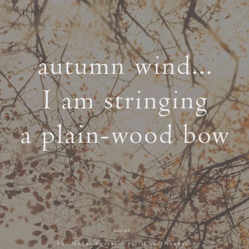 Autumn Wind - (Naviarhaiku - 563)