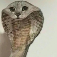 pure thought, the mind