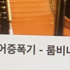 아마츄어증폭기 - 룸비니 cover