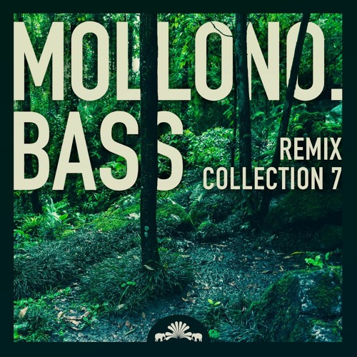 Mollono.Bass Remix Collection 7 Continuous DJ Mix