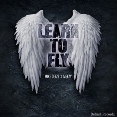 Learn To Fly ft Meezy