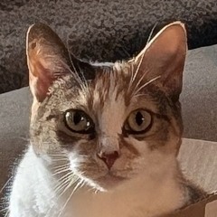 A 30 minute drum and bass mix.