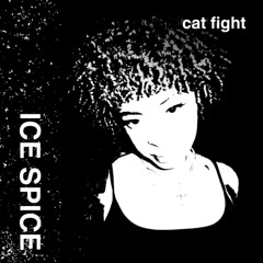 Ice Spice Type Beat 2025 | "Cat Fight"