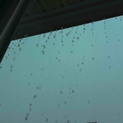 yourvoiceintherain