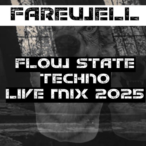 FAREWELL - FLOW STATE TECHNO LIVE MIX 2025