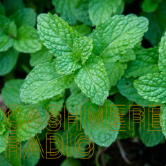 @ Cashmere Radio - Minty Fresh w/ peppermintphil #5 - Hard House