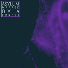 Asylum
